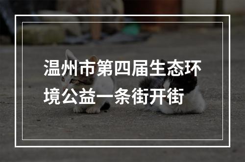 温州市第四届生态环境公益一条街开街