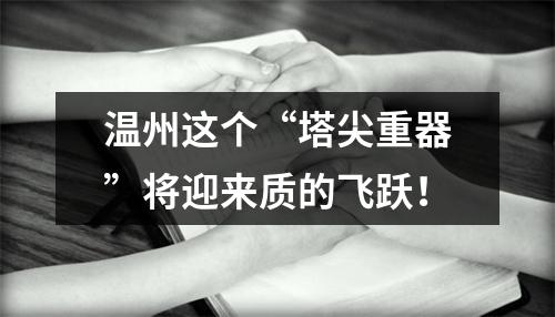 温州这个“塔尖重器”将迎来质的飞跃！