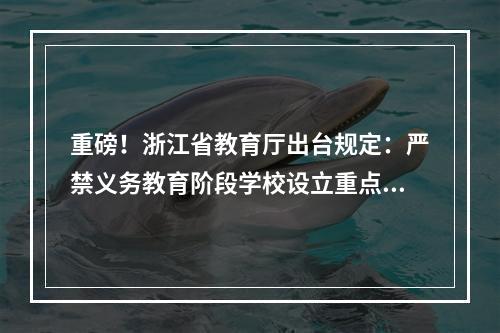 重磅！浙江省教育厅出台规定：严禁义务教育阶段学校设立重点班、快慢班
