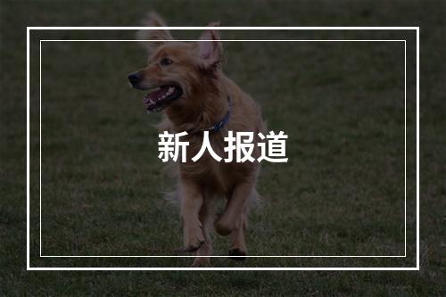 新人报道