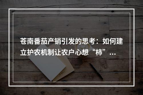 苍南番茄产销引发的思考：如何建立护农机制让农户心想“柿”成