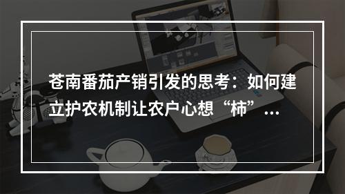 苍南番茄产销引发的思考：如何建立护农机制让农户心想“柿”成