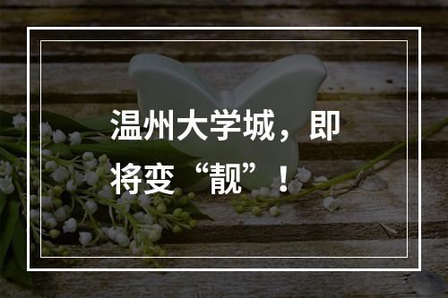 温州大学城，即将变“靓”！
