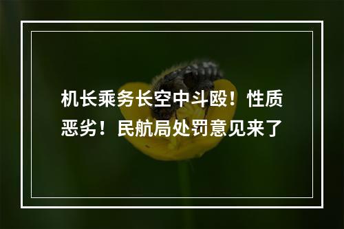 机长乘务长空中斗殴！性质恶劣！民航局处罚意见来了