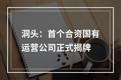 洞头：首个合资国有运营公司正式揭牌