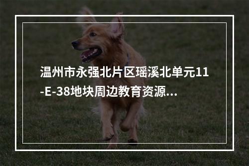 温州市永强北片区瑶溪北单元11-E-38地块周边教育资源规划