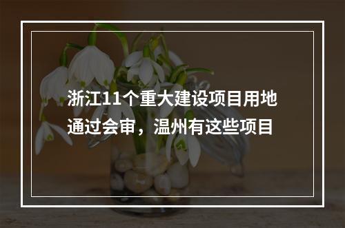 浙江11个重大建设项目用地通过会审，温州有这些项目