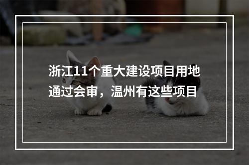浙江11个重大建设项目用地通过会审，温州有这些项目