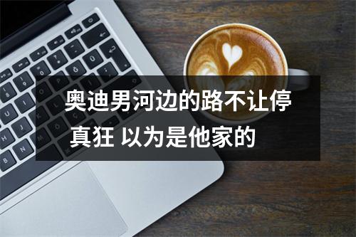 奥迪男河边的路不让停 真狂 以为是他家的