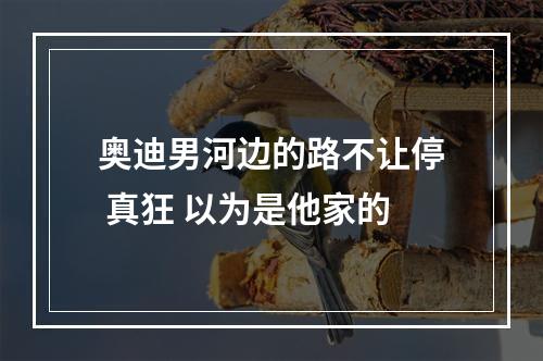 奥迪男河边的路不让停 真狂 以为是他家的