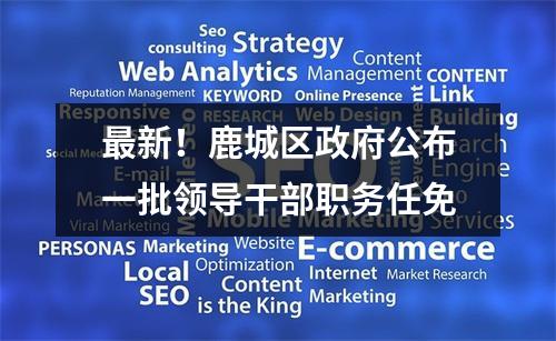 最新！鹿城区政府公布一批领导干部职务任免