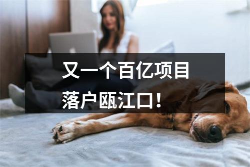 又一个百亿项目落户瓯江口！