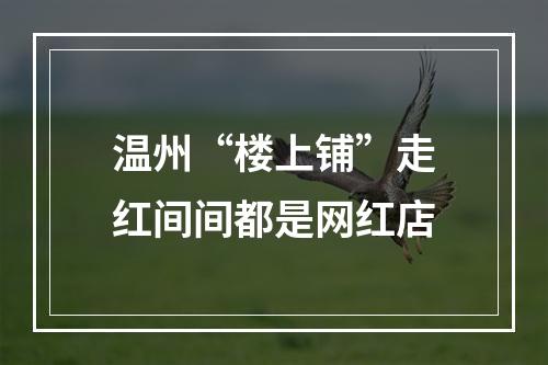 温州“楼上铺”走红间间都是网红店