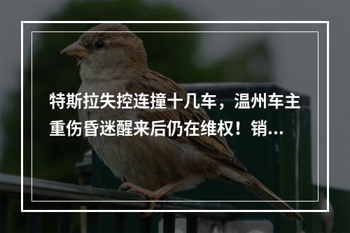 特斯拉失控连撞十几车，温州车主重伤昏迷醒来后仍在维权！销售回复：你还买车吗 ...