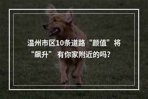 温州市区10条道路“颜值”将“飙升” 有你家附近的吗？