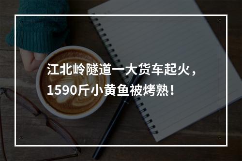 江北岭隧道一大货车起火，1590斤小黄鱼被烤熟！