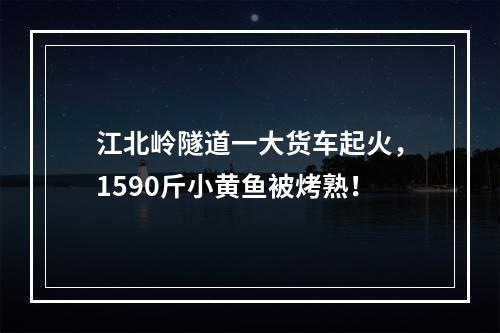 江北岭隧道一大货车起火，1590斤小黄鱼被烤熟！