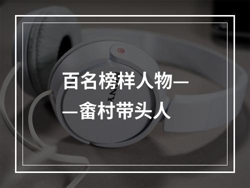 百名榜样人物——畬村带头人