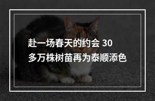 赴一场春天的约会 30多万株树苗再为泰顺添色