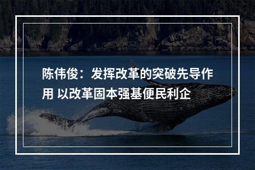 陈伟俊：发挥改革的突破先导作用 以改革固本强基便民利企