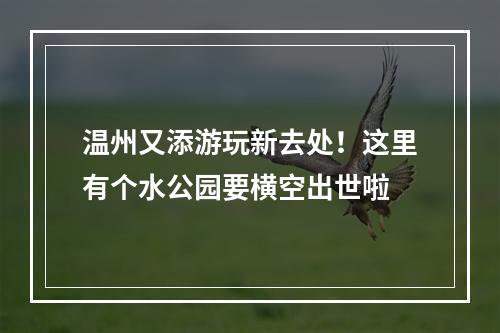 温州又添游玩新去处！这里有个水公园要横空出世啦