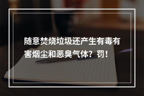 随意焚烧垃圾还产生有毒有害烟尘和恶臭气体？罚！