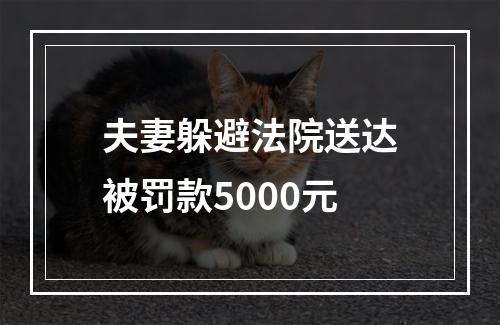 夫妻躲避法院送达被罚款5000元