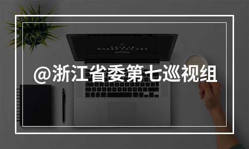 @浙江省委第七巡视组