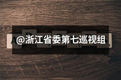 @浙江省委第七巡视组