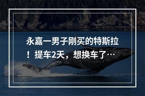永嘉一男子刚买的特斯拉！提车2天，想换车了…