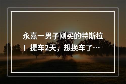 永嘉一男子刚买的特斯拉！提车2天，想换车了…