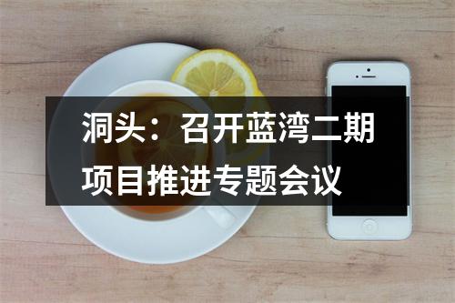 洞头：召开蓝湾二期项目推进专题会议