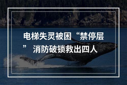 电梯失灵被困“禁停层” 消防破锁救出四人