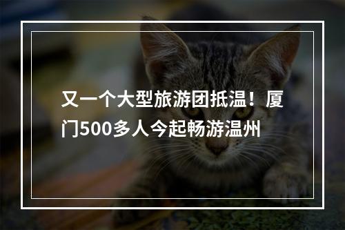 又一个大型旅游团抵温！厦门500多人今起畅游温州