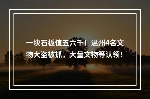 一块石板值五六千！温州4名文物大盗被抓，大量文物等认领！
