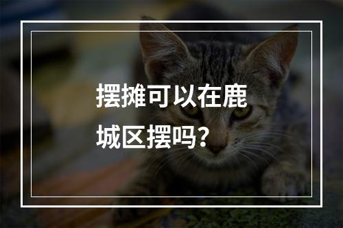 摆摊可以在鹿城区摆吗？