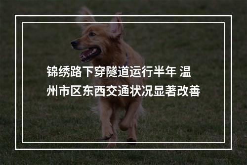 锦绣路下穿隧道运行半年 温州市区东西交通状况显著改善