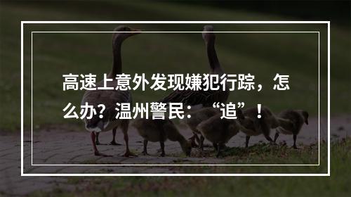 高速上意外发现嫌犯行踪，怎么办？温州警民：“追”！