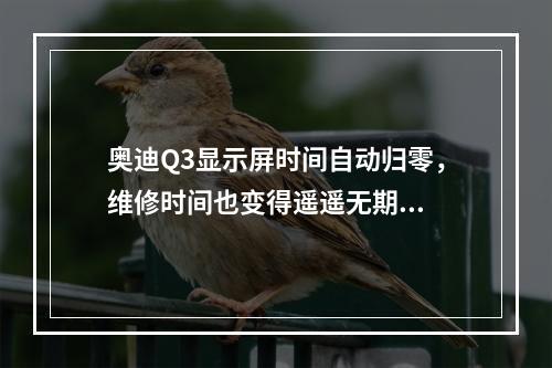 奥迪Q3显示屏时间自动归零，维修时间也变得遥遥无期...