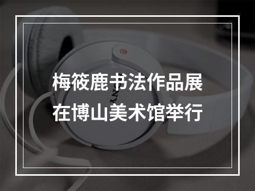 梅筱鹿书法作品展在博山美术馆举行