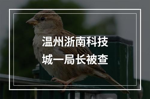 温州浙南科技城一局长被查