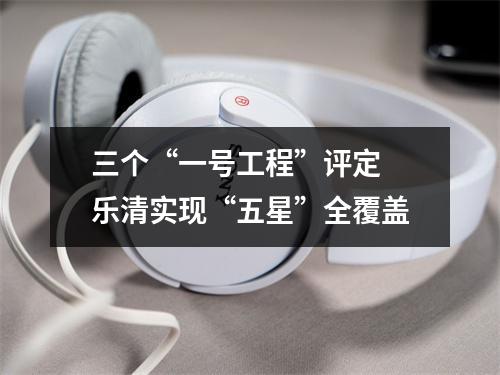 三个“一号工程”评定 乐清实现“五星”全覆盖