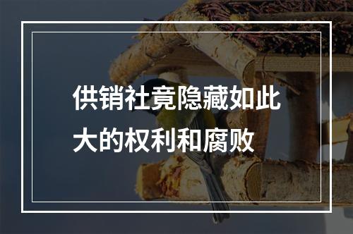 供销社竟隐藏如此大的权利和腐败