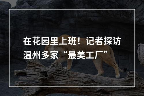 在花园里上班！记者探访温州多家“最美工厂”