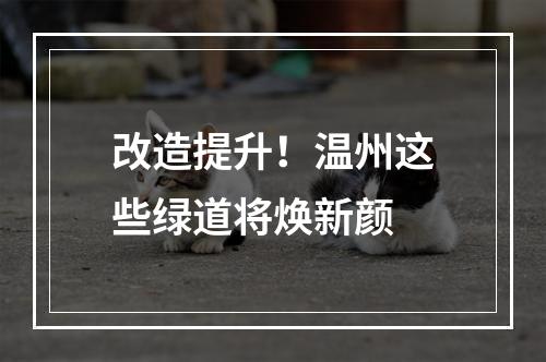 改造提升！温州这些绿道将焕新颜