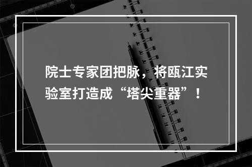 院士专家团把脉，将瓯江实验室打造成“塔尖重器”！