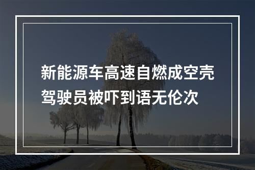 新能源车高速自燃成空壳驾驶员被吓到语无伦次