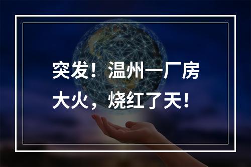 突发！温州一厂房大火，烧红了天！