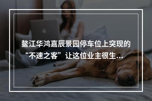 鳌江华鸿嘉辰景园停车位上突现的“不速之客”让这位业主很生气！