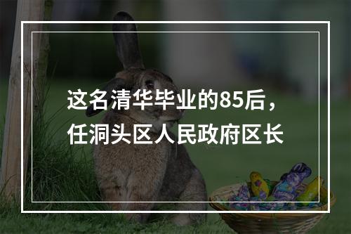 这名清华毕业的85后，任洞头区人民政府区长